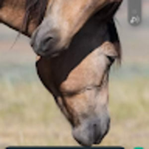 Meet your Posher, Alan